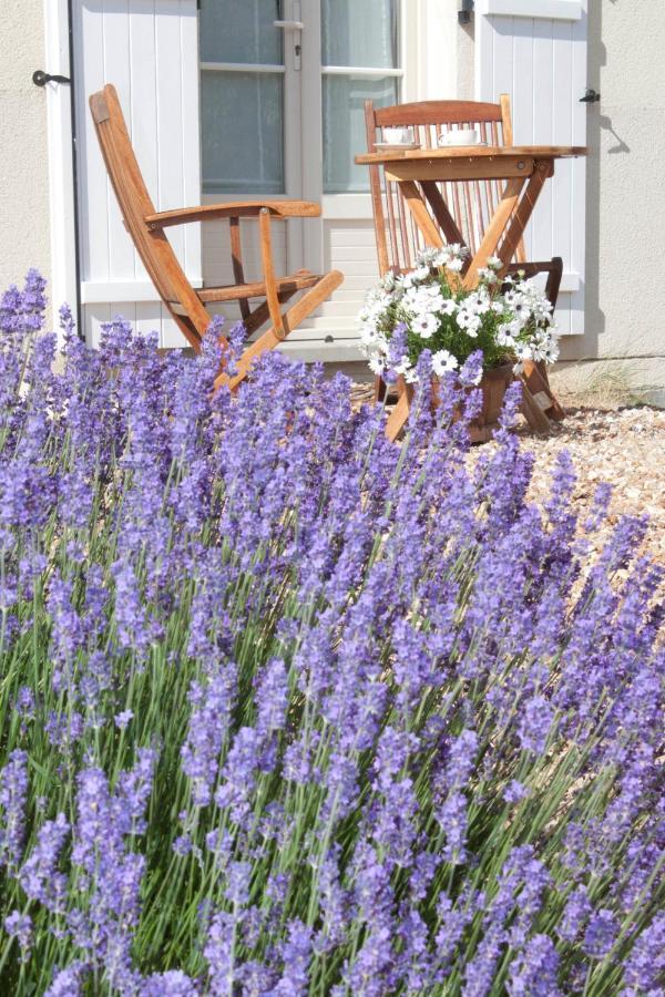 Appart Hotel Studihotel Palaiseau Plateau Saclay Exterior foto